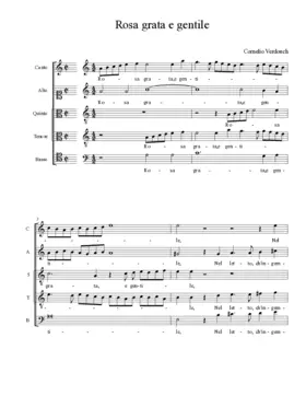 Rosa grata e gentile