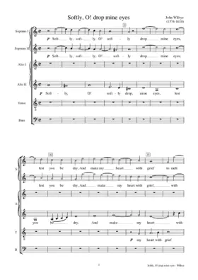 Softly O! drop mine eyes