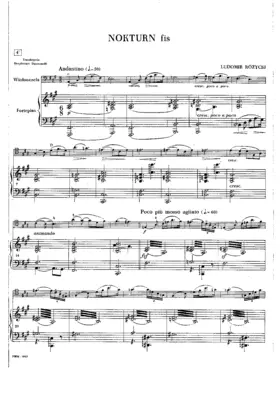 2 Nocturnes