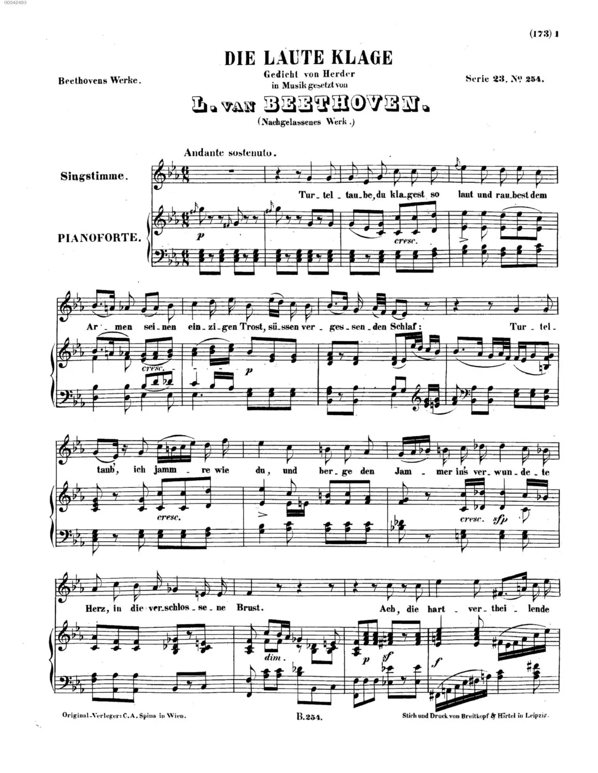 Song, Die laute Klage - Page 1