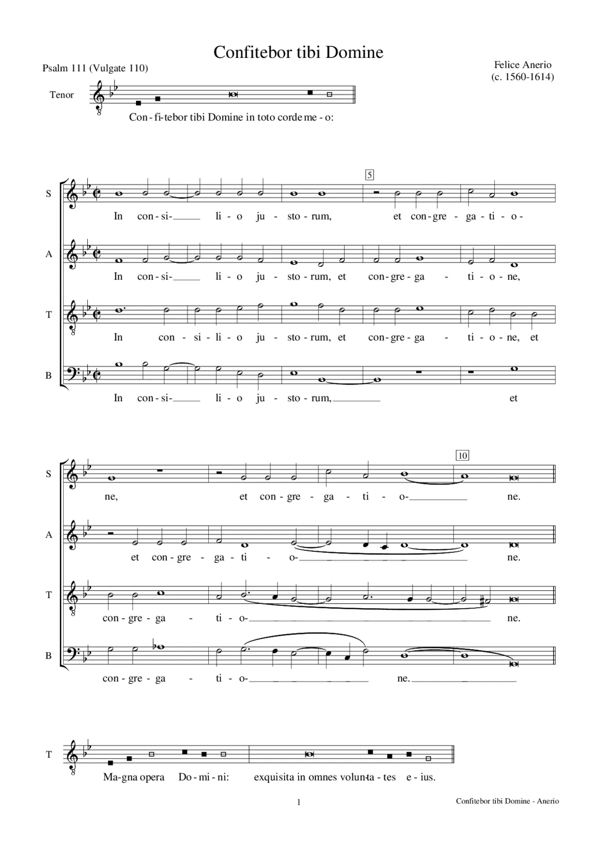 Confitebor tibi Domine - Page 1