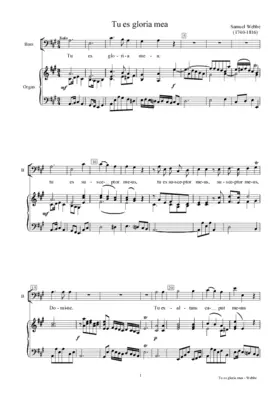 Tu es gloria mea
