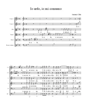 Io ardo, io mi consumo