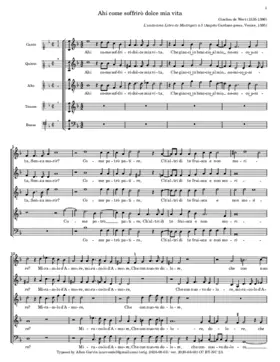 Ahi come soffrirò