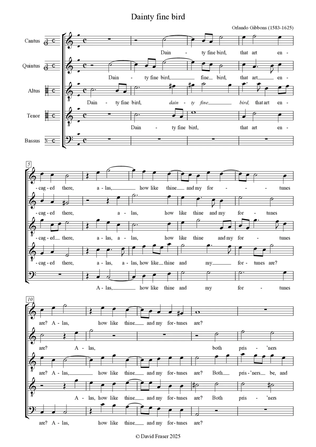 Dainty fine bird - Page 1