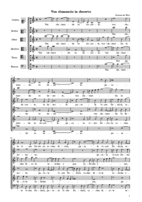 Vox clamantis in deserto