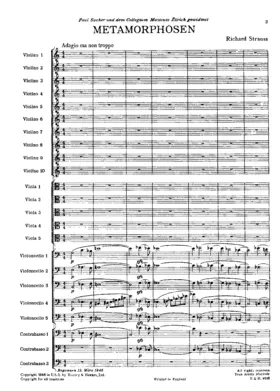 Metamorphosen