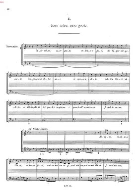 Care selve, aure grate