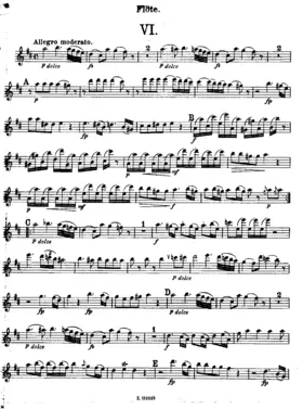 Divertimento in D major