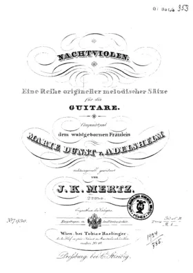 Nachtviolen