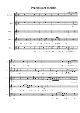 Precibus et meritis