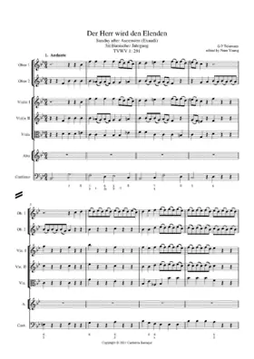 Der Herr wird den Elenden, TWV 1:291
