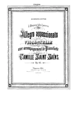 Allegro Appassionato