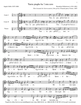 Tante piaghe ha 'l mio core