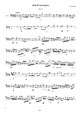 Etudes for Bassoon solo