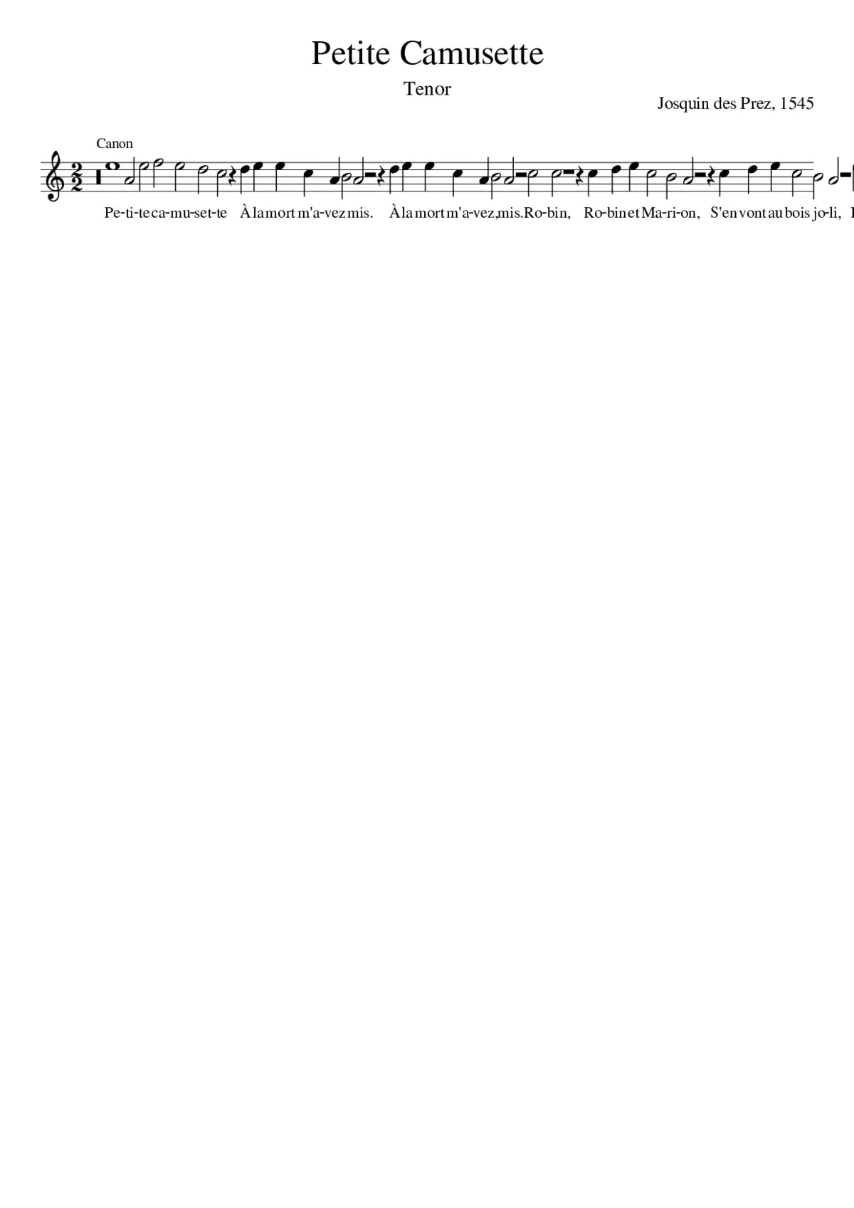 Petite camusette - Page 1