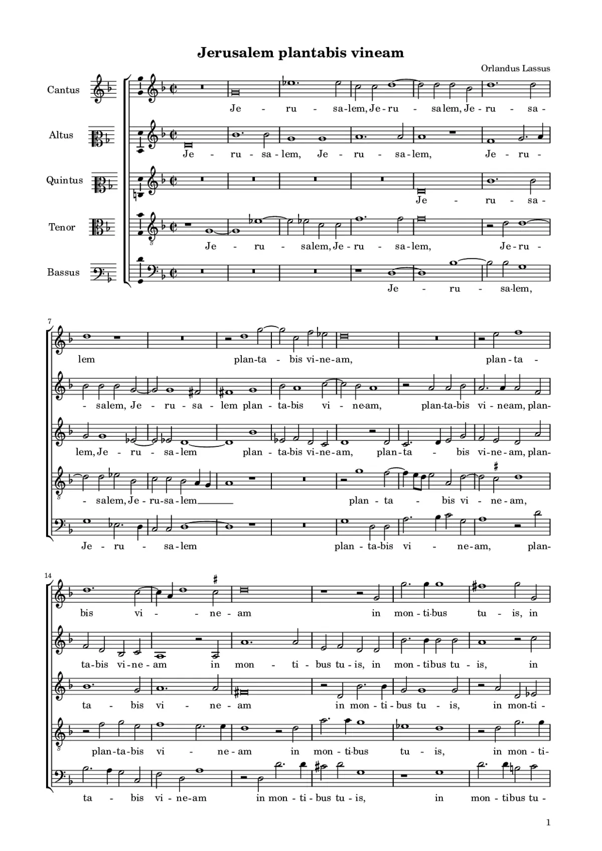 Jerusalem plantabis vineam - Page 1