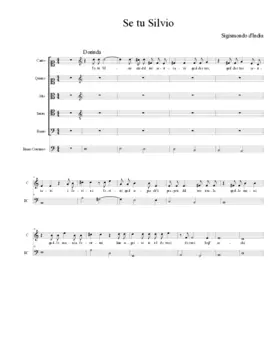 Se tu Silvio