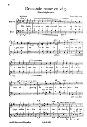 The Roaring of a Wave