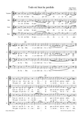 Todo mi bien he perdido