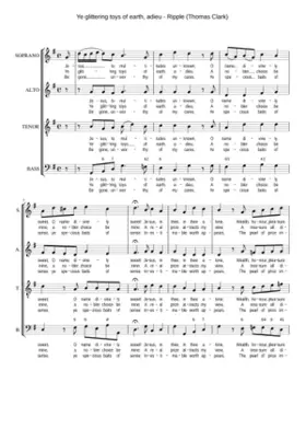 Ye glittering toys of earth adieu