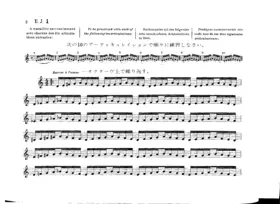 17 Grands Exercices Journaliers De Mecanisme