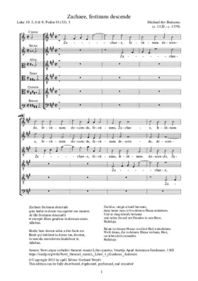 Zachaee festinans descende