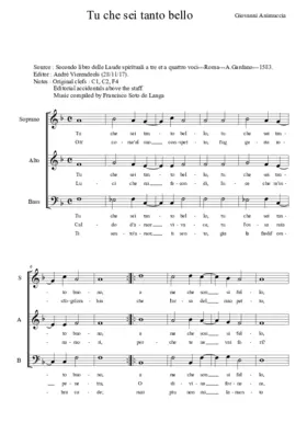 Tu che sei tanto bello