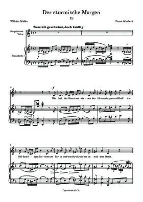 Der stuermische Morgen