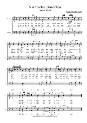 Nächtliches Ständchen