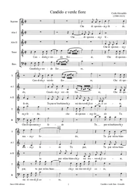 Candido e verde fiore