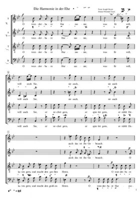 Die Harmonie in der Ehe