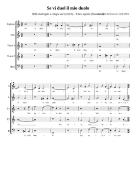 Se vi duol il mio duolo