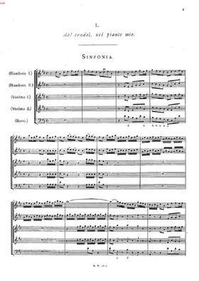 Ah, crudel! nel pianto mio