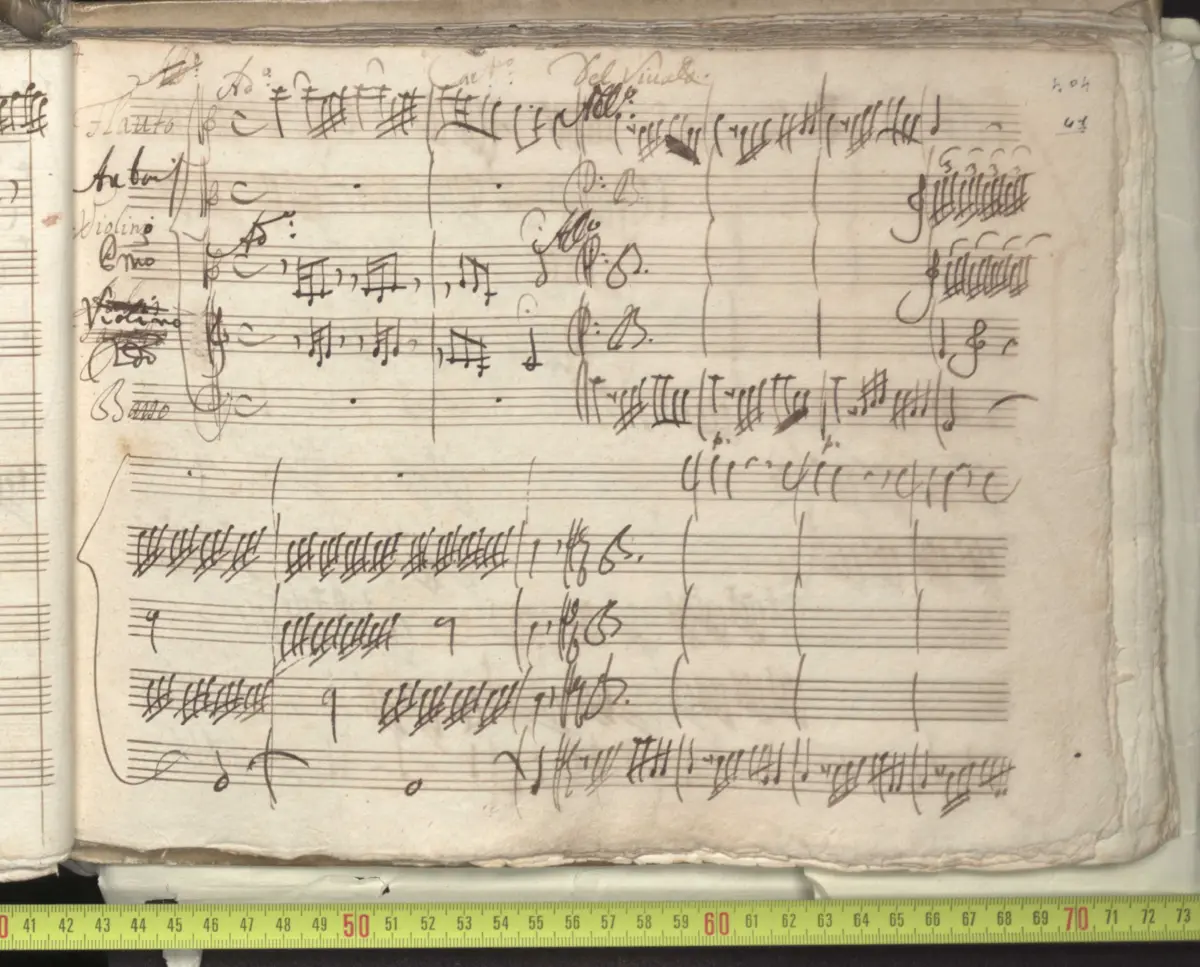 Concerto for Recorder, Oboe, 2 Violins and Continuo in C major - Page 1