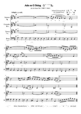 Aria de la Suite No. 3