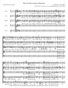 Non sol, dissi, tu poi