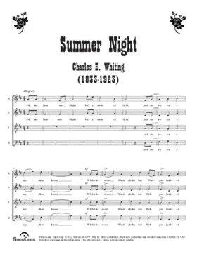Summer night