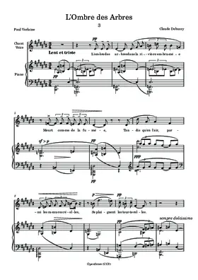 L’ombre des arbres