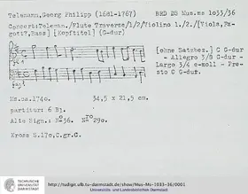 Concerto for 2 Flutes and Bassoon