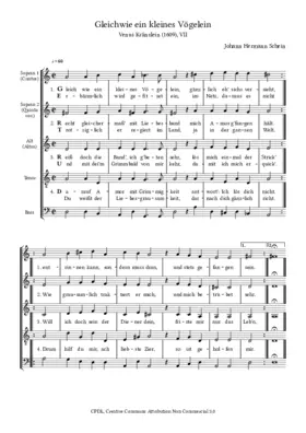 Gleich wie ein kleines Vögelein