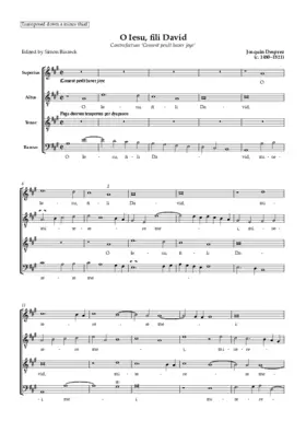 O Iesu, fili David