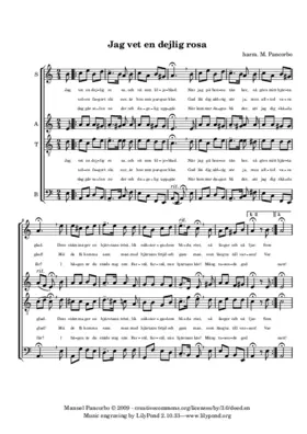 Jag vet en dejlig rosa