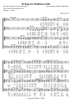 Es flog ein Täublein weiße