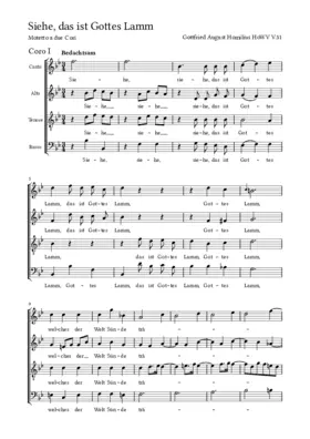 Siehe, das ist Gottes Lamm, HoWV V.51
