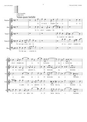 Volan quasi farfalle