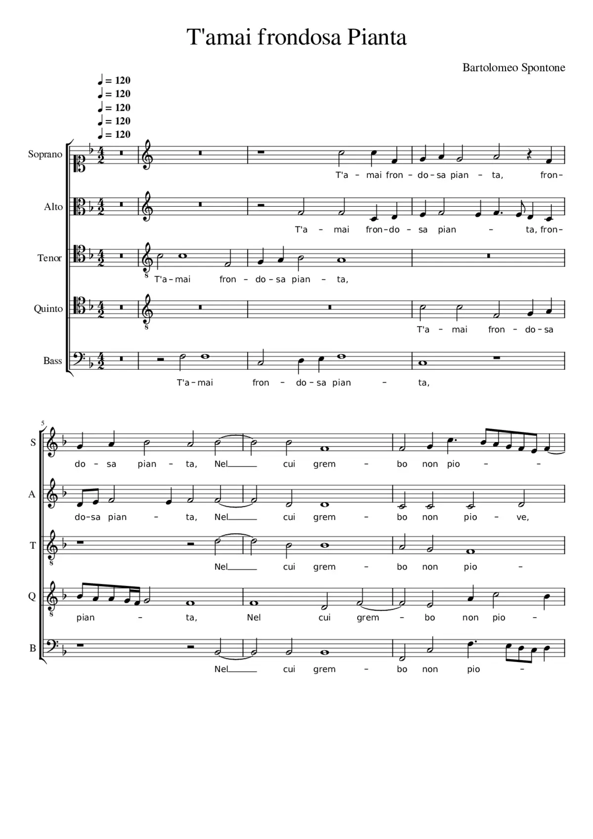 T'amai frondosa pianta - Page 1