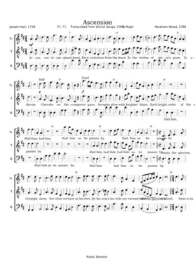 Ascension - Abraham Wood