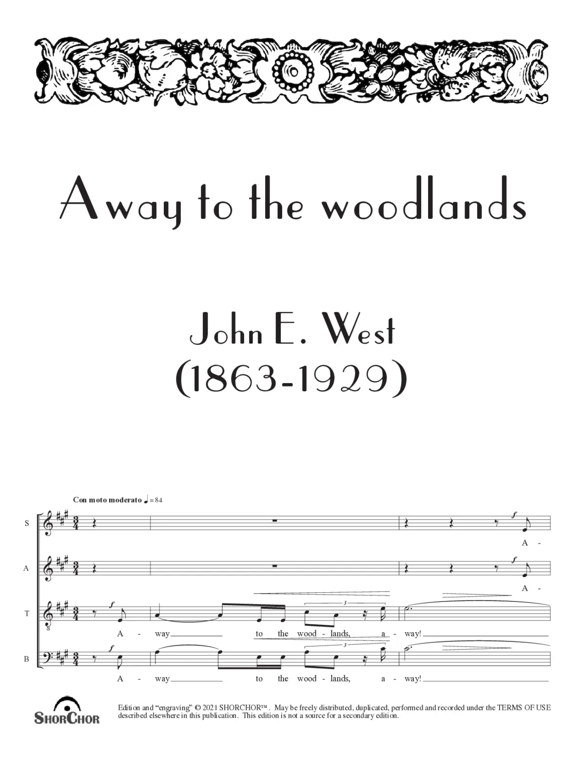 Away to the woodlands - Page 1