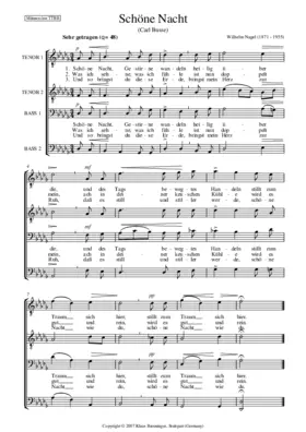 Schöne Nacht